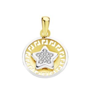 18K COLGANTE BICOLOR CIRCONITA 13 MM