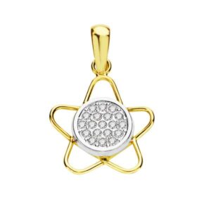 18K COLGANTE BICOLOR CIRCONITA 15X12 MM