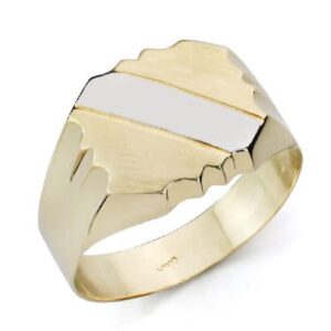 18K SELLO CABALLERO BANDA ORO BICOLOR HUECO